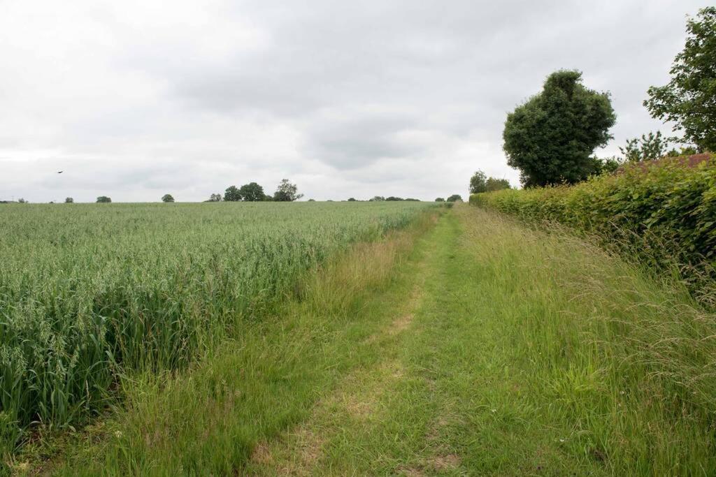 Immaculate Barn Annexe Close To Stansted Airport غريت دنمو المظهر الخارجي الصورة