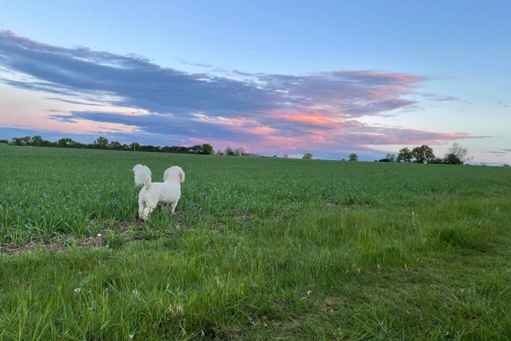 Immaculate Barn Annexe Close To Stansted Airport غريت دنمو المظهر الخارجي الصورة